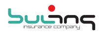 487_3238_900_9-logo-bulins